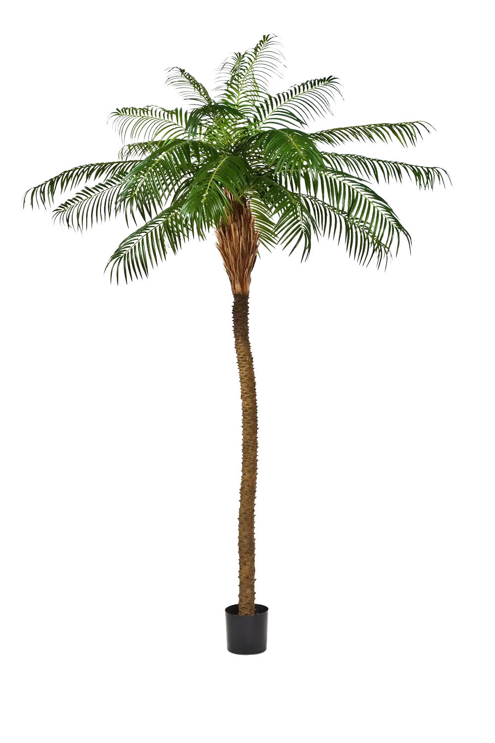 Künstliche Phoenixpalme - Zephyra, 240 cm, Kunstbaum von aplanta, in Grün, für drinnen