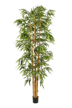 Künstlicher Bambus - Kenai, 210 cm, Kunstbaum von aplanta, mit Echtholzstamm, UV-beständig, inkl. Startertopf, in Grün