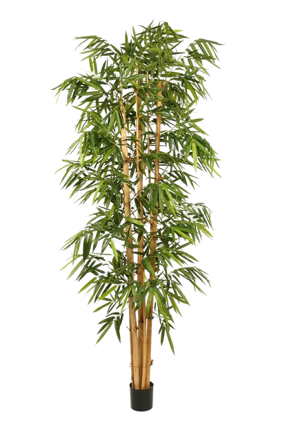 Künstlicher Bambus - Kenai, 210 cm, Kunstbaum von aplanta, mit Echtholzstamm, UV-beständig, inkl. Startertopf, in Grün