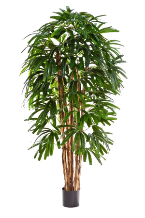 Kunstpflanze 180 cm – künstliche Pflanzen 180 cm kaufen