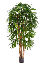 Künstliche Steckenpalme - Noemi, 210 cm, Kunstbaum von aplanta, in Natur, für drinnen