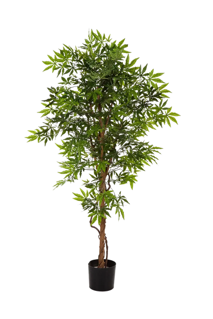 Künstlicher Japanischer Ahorn - Ottilie, 210 cm, Kunstbaum von aplanta, in Natur, für drinnen