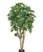 Künstliche Schefflera - Olaf | 170 cm