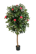 Künstlicher Kamelienbaum - Philina auf transparentem Hintergrund mit echt wirkenden Kunstblättern. Diese Kunstpflanze gehört zur Gattung/Familie der "Kamelien" bzw. "Kunst-Kamelien".