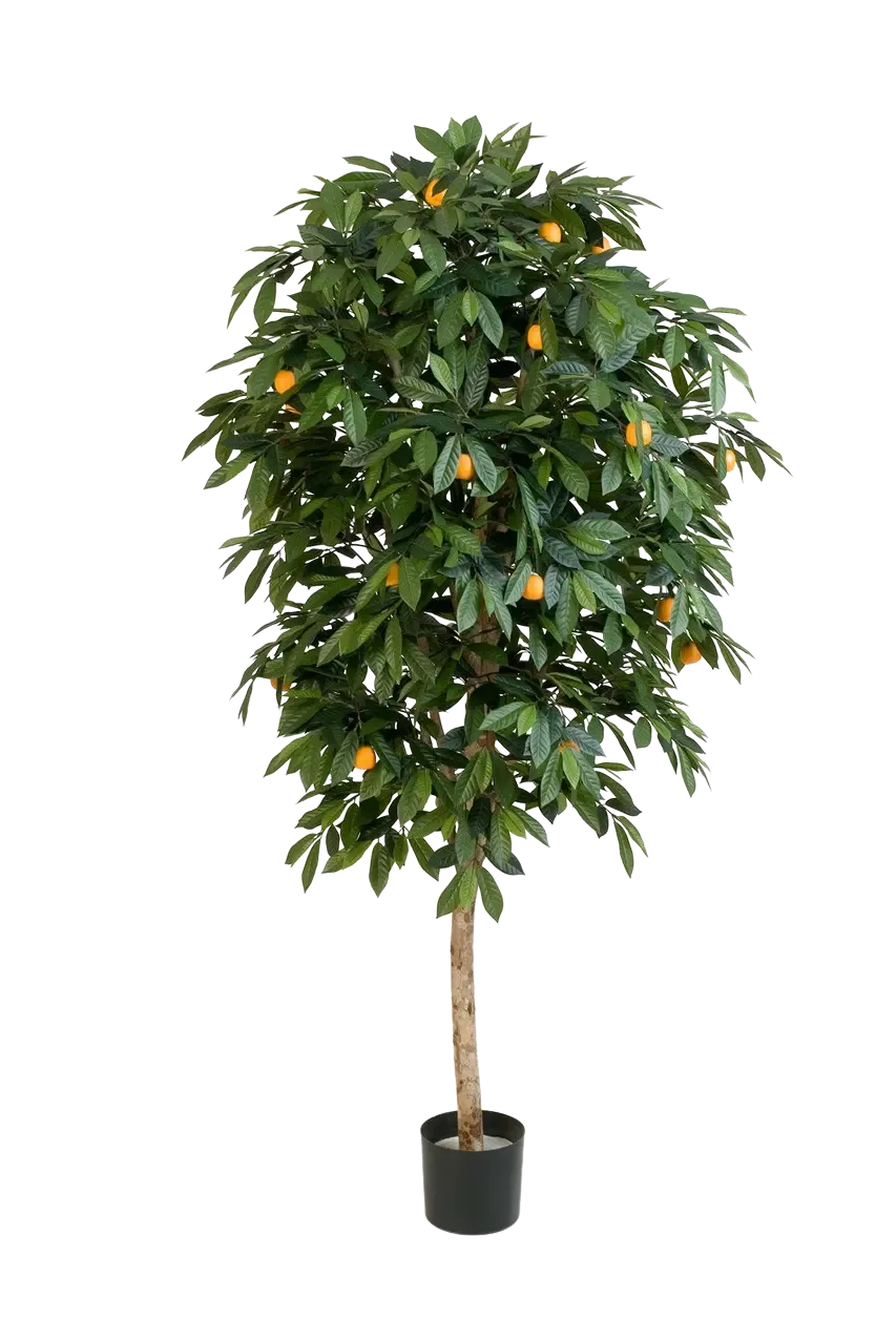 Künstlicher Orangenbaum - Pius | 170 cm