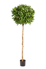 Künstliche Lorbeer - Romy, 140 cm, Kunstbaum von aplanta, feuerhemmend, im schwarzen Topf, in Natur, für drinnen