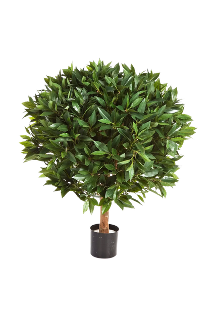 Künstlicher Lorbeer - Rosa auf transparentem Hintergrund mit echt wirkenden Kunstblättern in natürlicher Anordnung. Künstlicher Lorbeer - Rosa hat die Farbe Natur und ist 55 cm hoch. | aplanta Kunstpflanzen