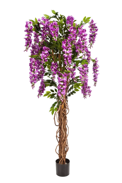 Künstlicher Blauregen - Rita auf transparentem Hintergrund mit echt wirkenden Kunstblättern. Diese Kunstpflanze gehört zur Gattung/Familie der "Blauregen" bzw. "Kunst-Blauregen".