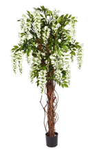 Künstlicher Blauregen - Ria auf transparentem Hintergrund mit echt wirkenden Kunstblättern. Diese Kunstpflanze gehört zur Gattung/Familie der "Blauregen" bzw. "Kunst-Blauregen".