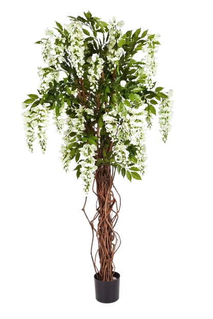 Künstlicher Blauregen - Ria auf transparentem Hintergrund mit echt wirkenden Kunstblättern. Diese Kunstpflanze gehört zur Gattung/Familie der "Blauregen" bzw. "Kunst-Blauregen".