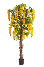 Künstlicher Blauregen - Runa auf transparentem Hintergrund mit echt wirkenden Kunstblättern. Diese Kunstpflanze gehört zur Gattung/Familie der "Blauregen" bzw. "Kunst-Blauregen".