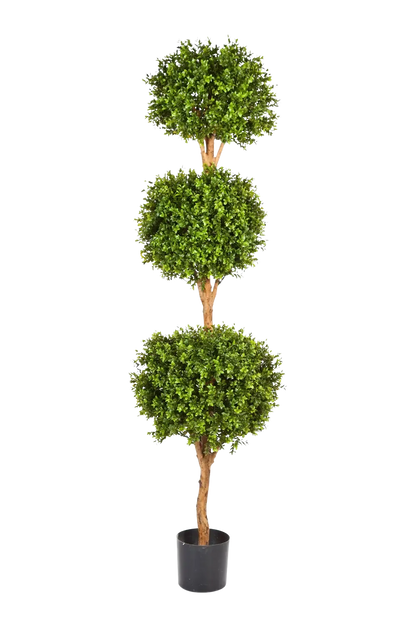 Künstlicher Buchsbaum - Ruben, 190 cm, Kunstbaum von aplanta, im schwarzen Topf, in Natur, für drinnen