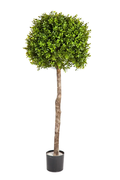Künstlicher Buchsbaum - Rayan, 105 cm, Kunstbaum von aplanta, im schwarzen Topf, in Natur, für drinnen