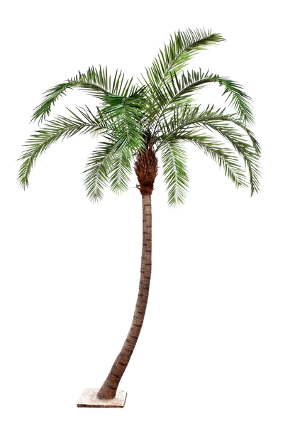 Künstliche Phoenixpalme - Simon, 330 cm, Kunstbaum von aplanta, in Natur, für drinnen