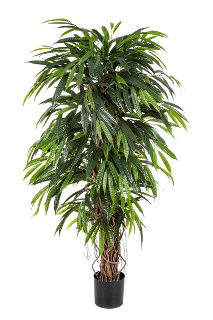 Künstliche Longifolia - Steven, 180 cm, Kunstbaum von aplanta, in Natur, für drinnen