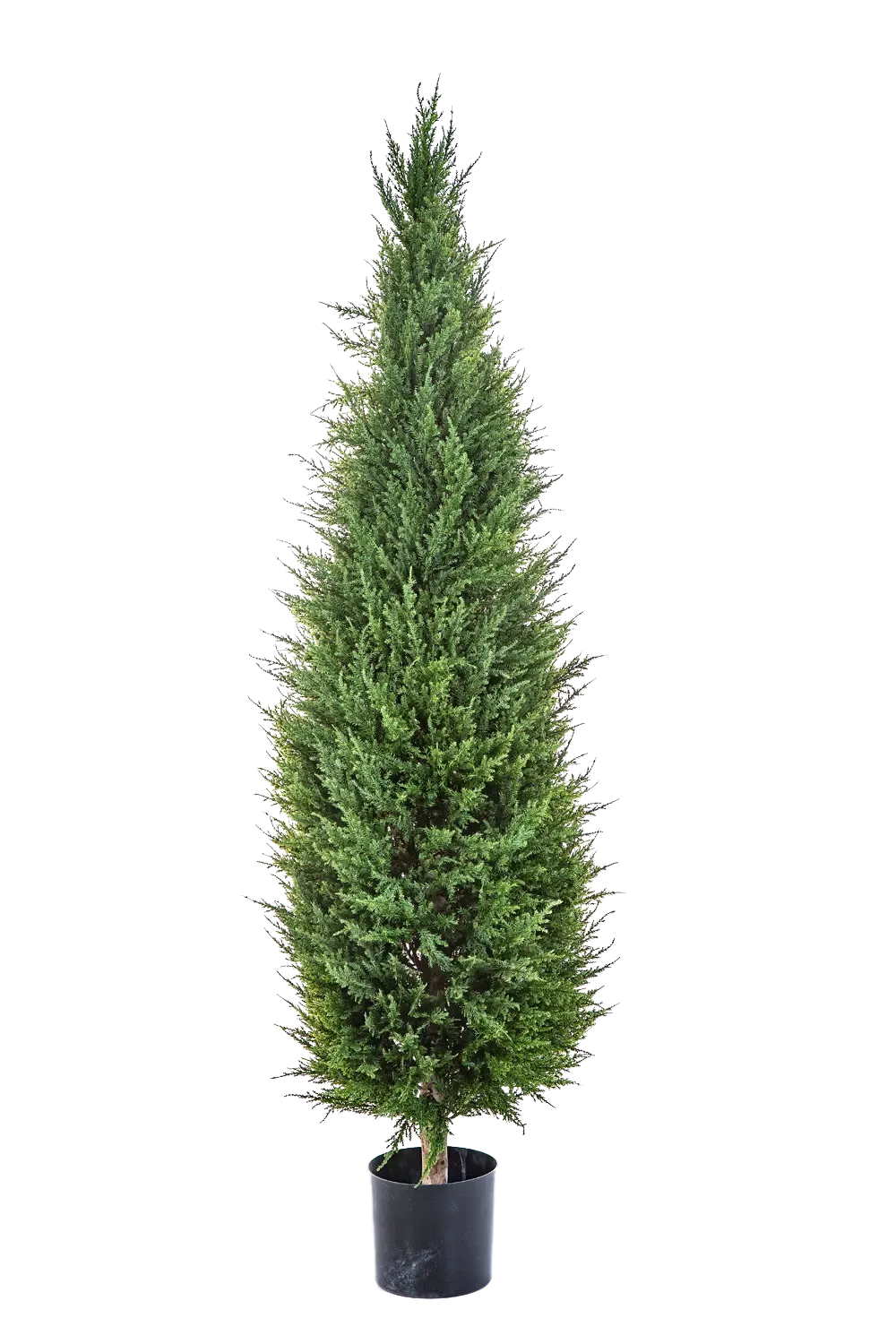 2 Künstliche Zypressen, Je 60 Cm Hoch – Frostsicher, UV-beständig & Pflegeleicht Für Garten & Balkon