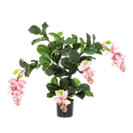 Künstliche Medinilla magnifica - Penelope, 78 cm, Kunstpflanze von aplanta, in Pink, für drinnen