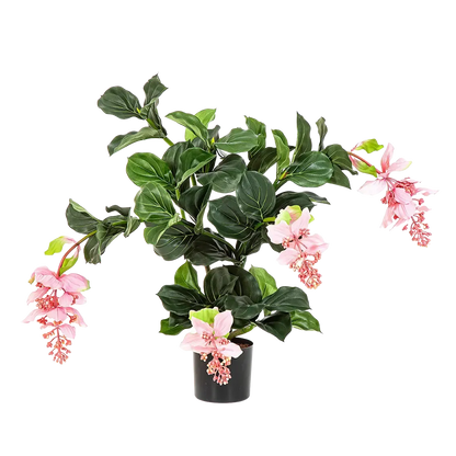 Künstliche Medinilla magnifica - Penelope, 78 cm, Kunstpflanze von aplanta, in Pink, für drinnen