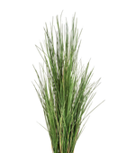 Hochwertiges Kunstgras auf transparentem Hintergrund mit echt wirkenden Kunstblättern in natürlicher Anordnung. Künstliches Honiggras - Nic hat die Farbe Natur und ist 120 cm hoch. | aplanta Kunstpflanzen