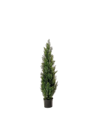 Künstliche Grüne Zeder - Nathalie | 120 cm