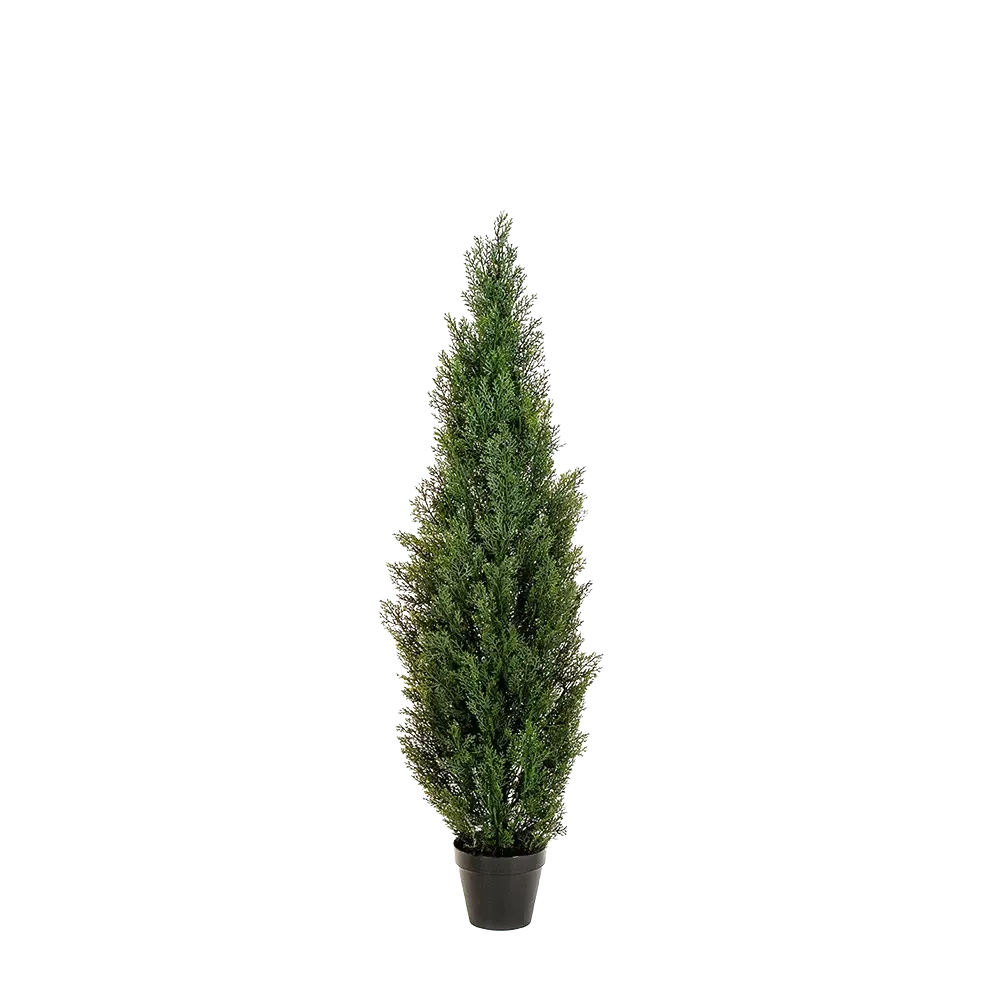 Künstliche Zeder – Thalion | 150 cm