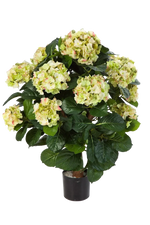 Hochwertige Hortensie künstlich auf transparentem Hintergrund mit echt wirkenden Kunstblättern in natürlicher Anordnung. Künstliche Hortensie - Noah hat die Farbe und ist 62 cm hoch. | aplanta Kunstpflanzen