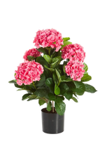 Hochwertige Hortensie künstlich auf transparentem Hintergrund mit echt wirkenden Kunstblättern in natürlicher Anordnung. Künstliche Hortensie - Nils hat die Farbe Pink und ist 53 cm hoch. | aplanta Kunstpflanzen