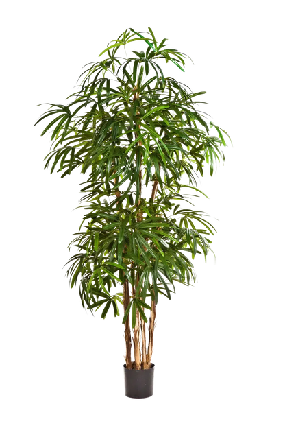 Künstliche Steckenpalme - Nela, 200 cm, Kunstbaum von aplanta, in Natur, für drinnen