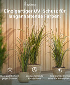 Künstliche Grüne Zeder - Nika | 90cm, UV- beständig