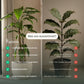 Künstliche Zamioculcas - Elena, 70 cm, Kunstpflanze von aplanta, im schwarzen Topf, in Natur, für drinnen