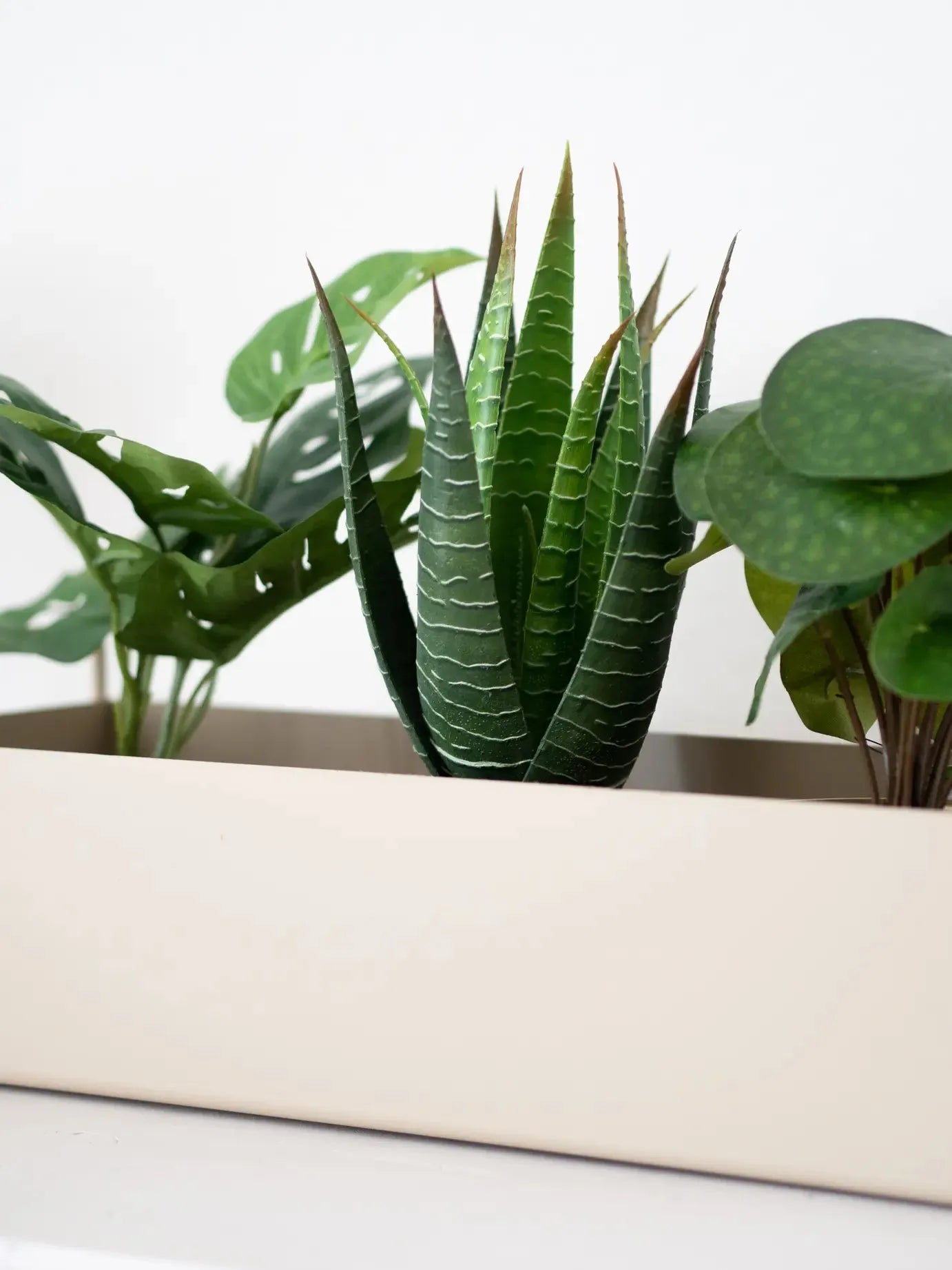 18 Stück Künstliche Sukkulenten – Mini-Kunstpflanzen Aus PVC, Für Deko Drinnen & Draußen