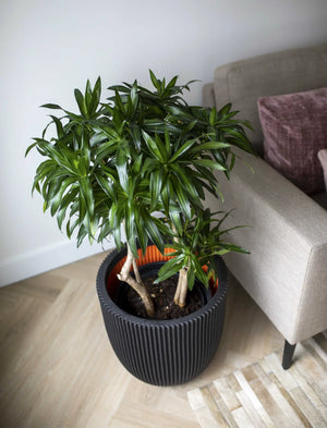 Blumentopf Kugel Groove schwarz | 43x41 cm