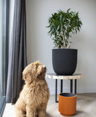 Blumentopf Kugel Groove schwarz | 43x41 cm