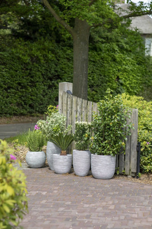 Blumentopf hoch elegant deluxe Rib elfenbein | 40x60 cm