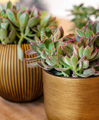 Pflanztopf Kugel Retro gold I 17x15 cm