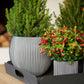 Gefäß Kugel Groove anthrazit I 18x15 cm, 18x15cm, Pflanzkübel von aplanta, für drinnen