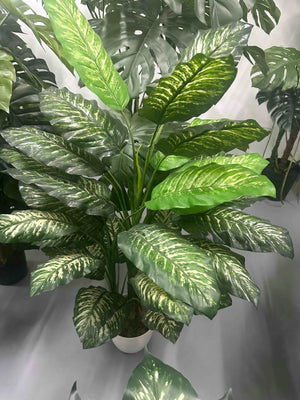 Künstliche Dieffenbachia – Mirella | 90 cm