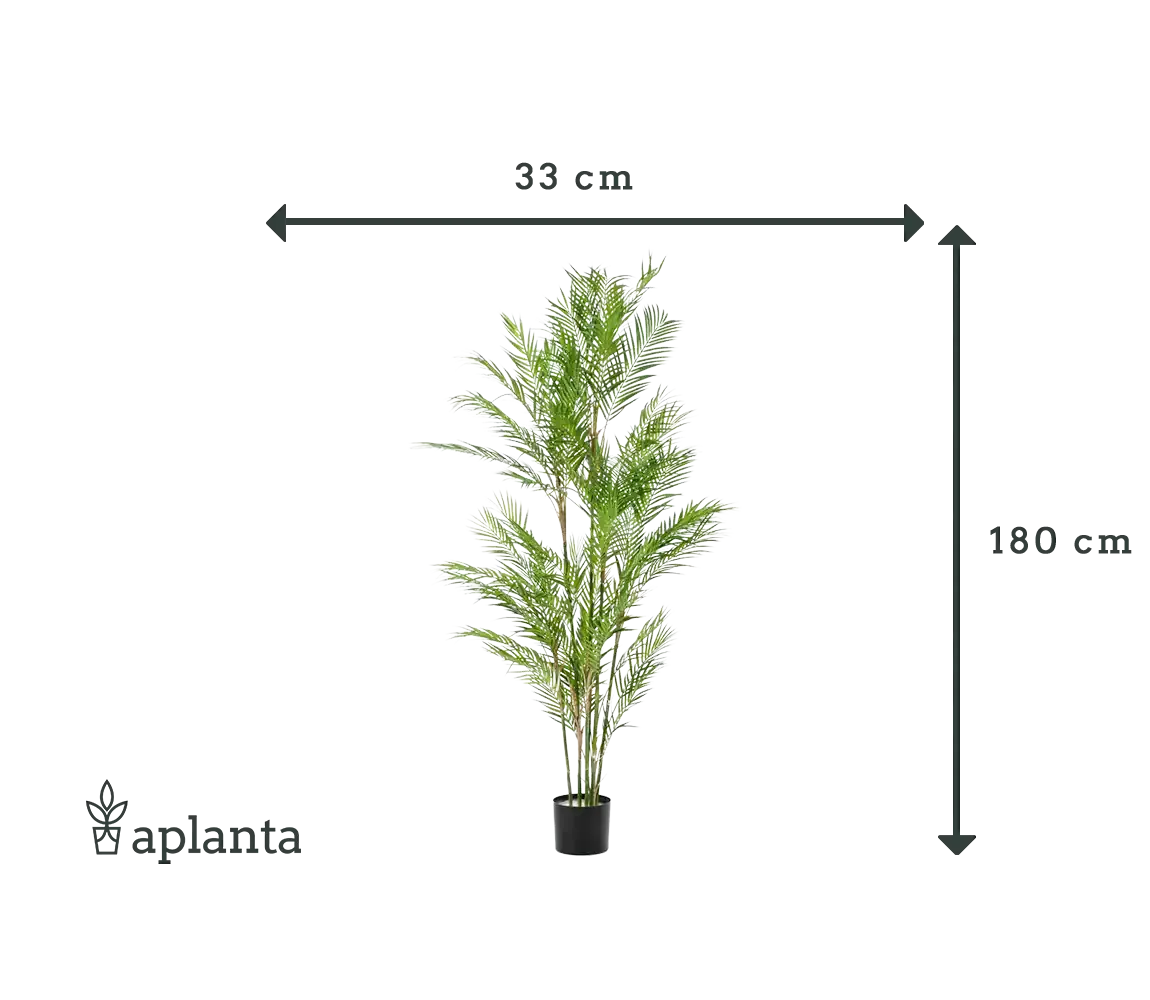 Künstliche Bergpalme - Nadine | 180 cm