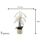 Künstliche Orchidee - Louisa | 100 cm