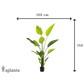 Künstliche Strelitzia - Colin | 150 cm
