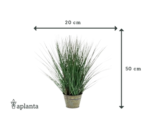 Künstliches Gras - Irene | 50 cm