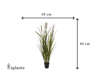 Künstliches Gras - Patrizia | 85 cm