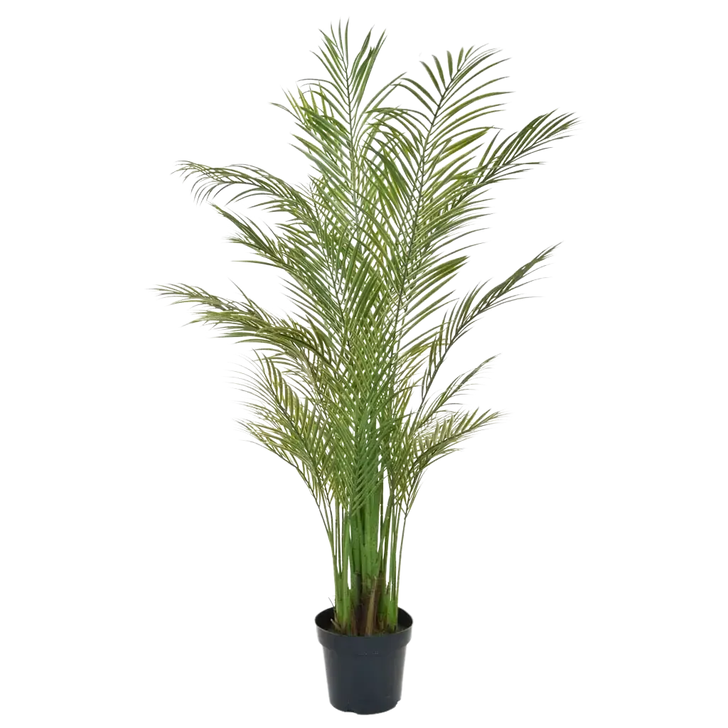 Künstliche Areca Palme - Amelie | 180 cm