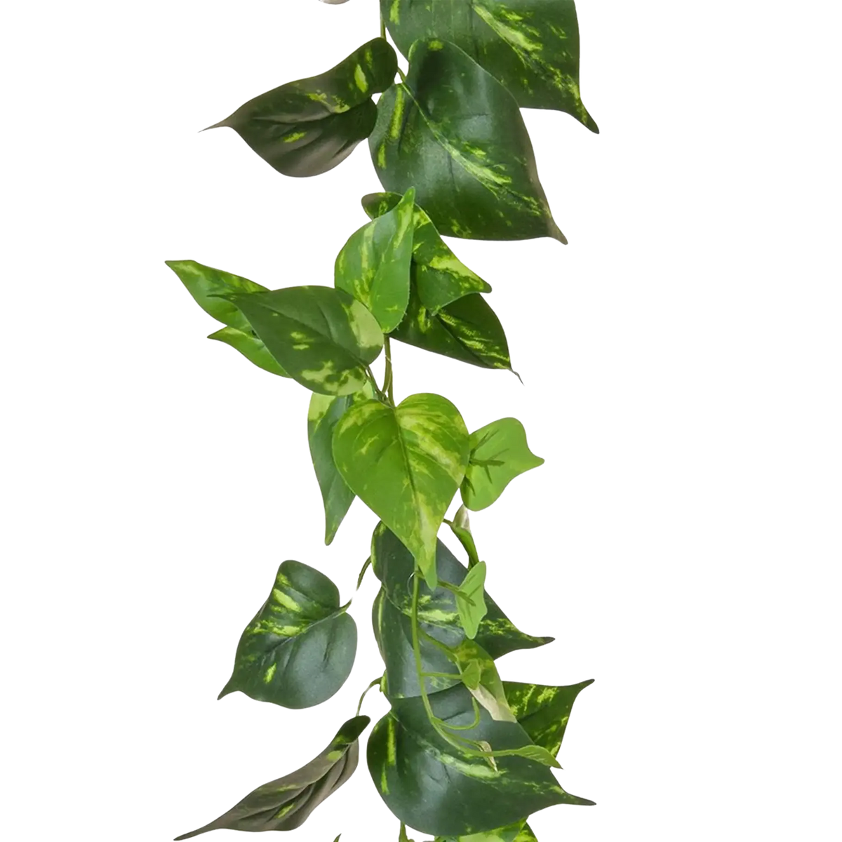 Künstliche Pothos Girlande - Christian | 220 cm
