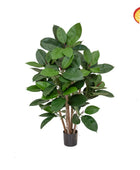 Künstlicher Gummibaum - Erich | 60 cm