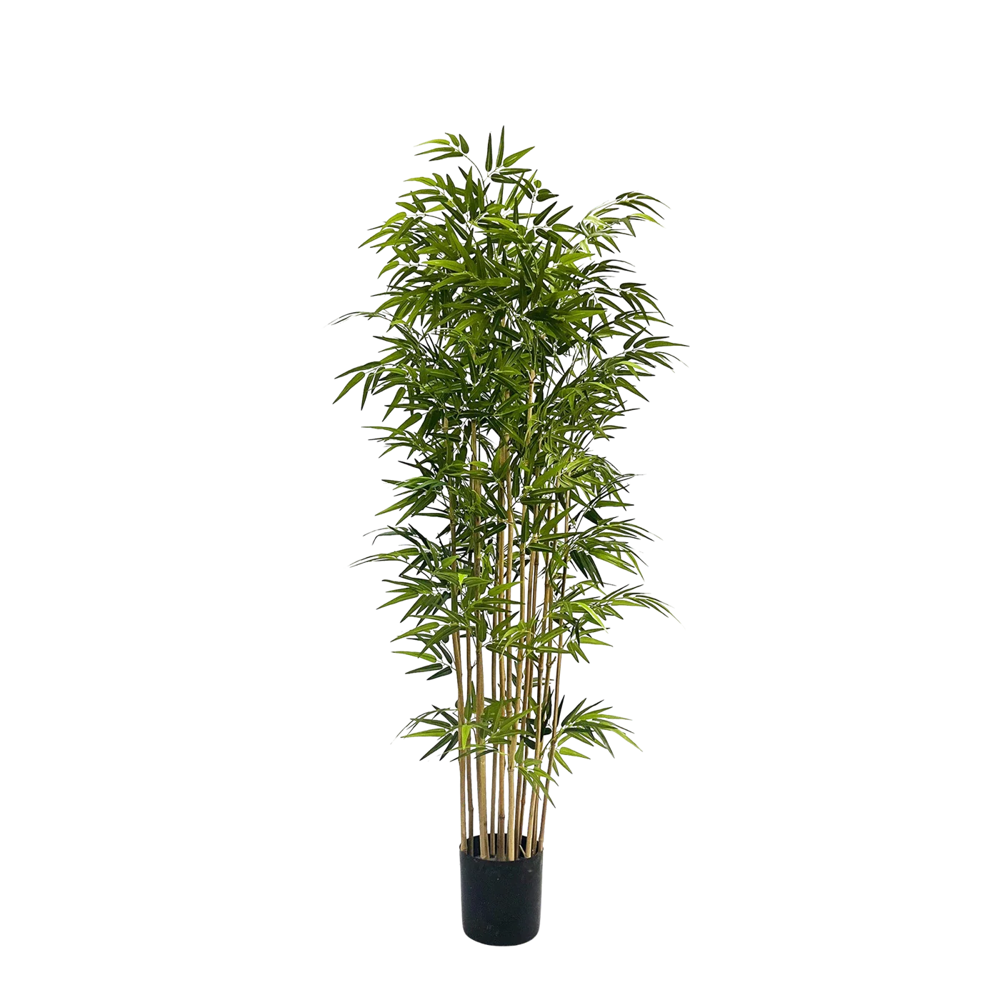 Künstlicher Bambus - Pirus | 180 cm