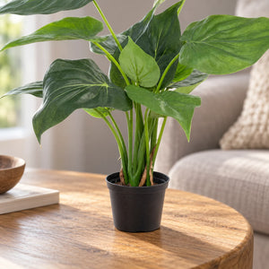 Künstliche Alocasia - Ebba | 40 cm