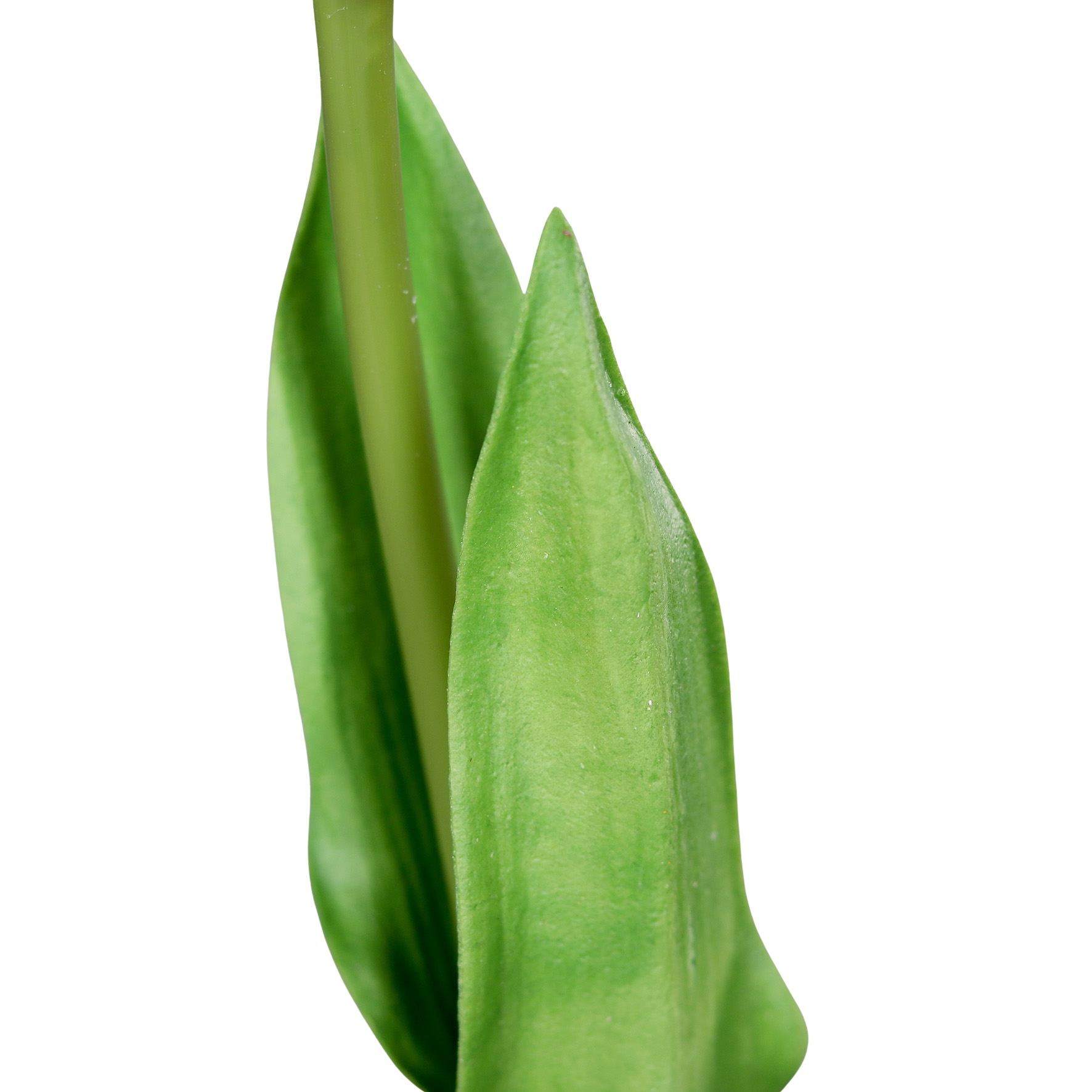 Künstliche Tulpe - Tris | 60 cm