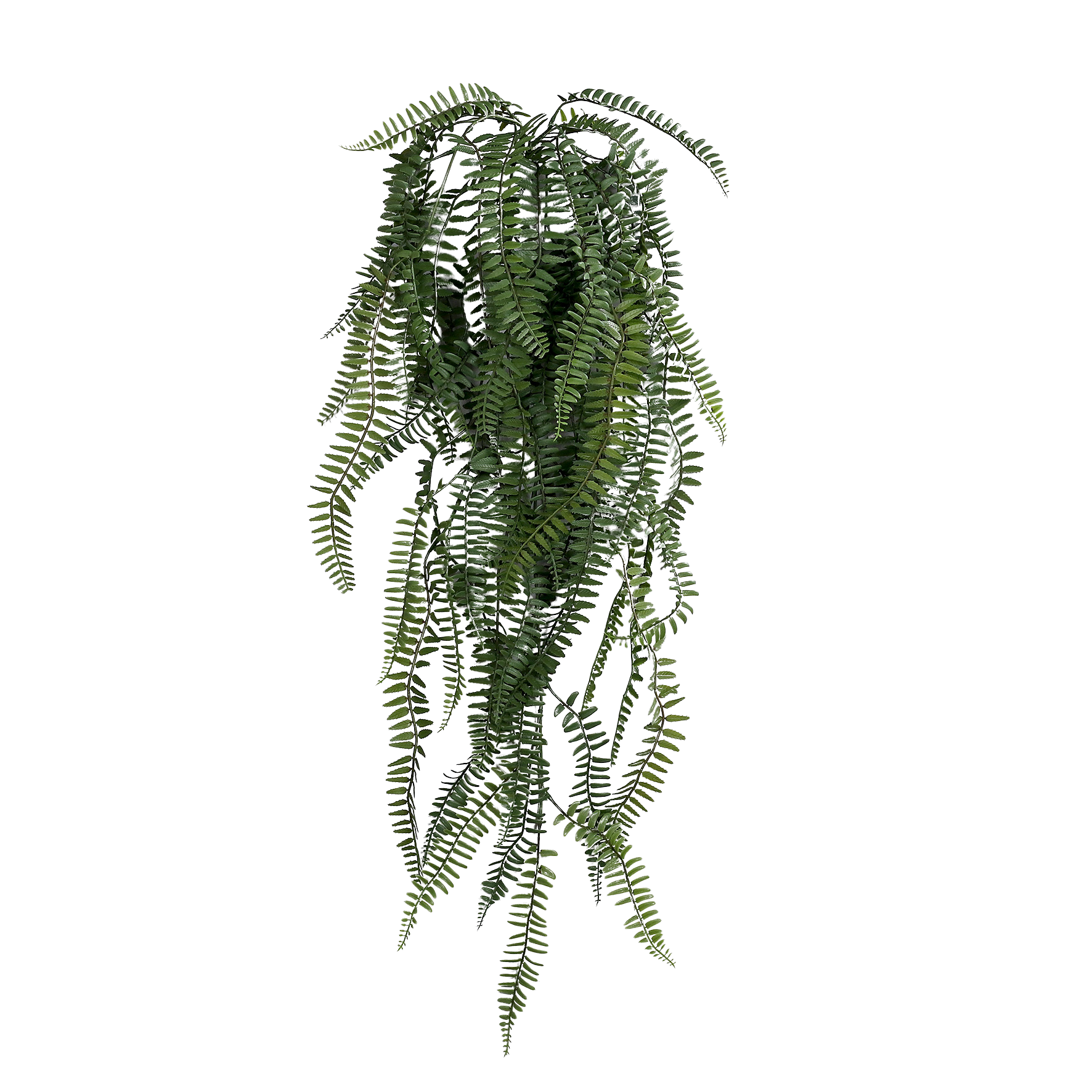 Künstlicher Hänge-Wurmfarn - Elanie, 86 cm, Kunstpflanze von aplanta, Steckpflanze, in Natur, für drinnen