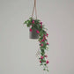 Künstlicher Hänge-Fuchsie – Ignatia | 80 cm